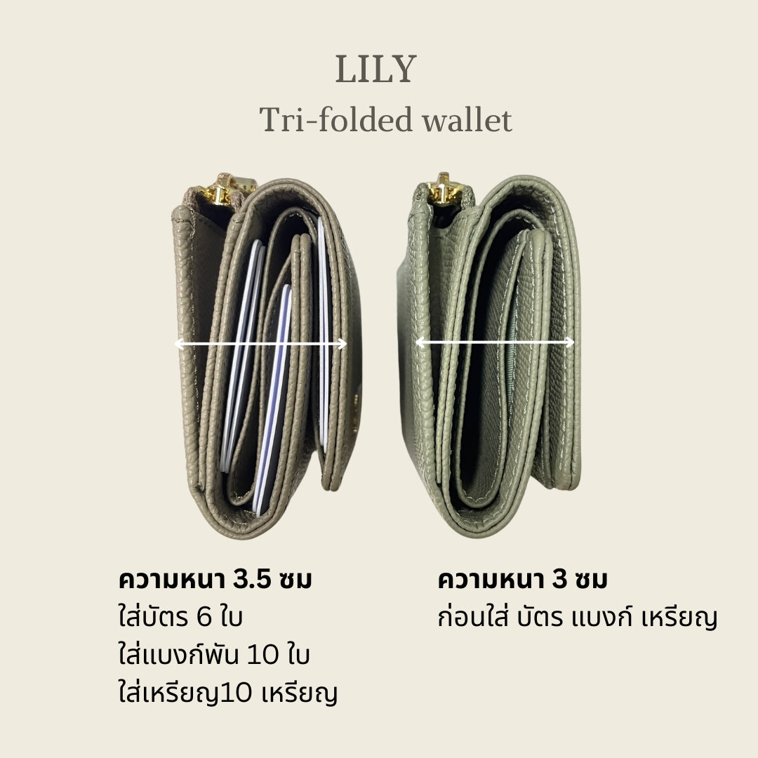 LILY Tri-fold wallet with Back zip